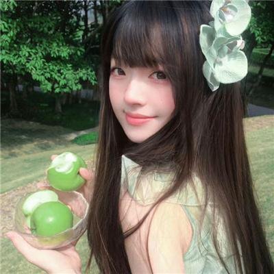 红高粱2014